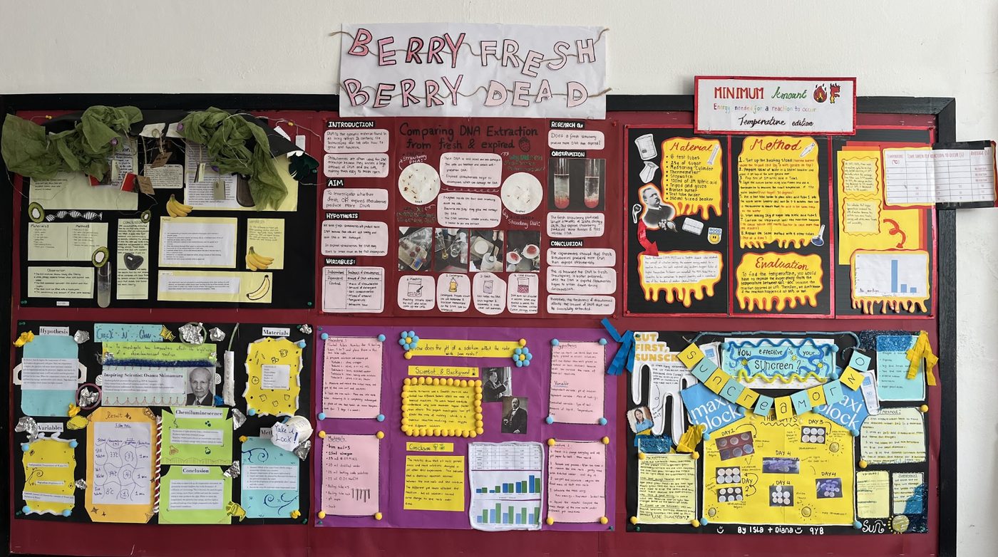 Student project boards from a science fair, covering DNA extraction, chemiluminescence, activation energy and sunscreen effectiveness